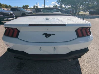 2026 Ford Mustang EcoBoost Premium