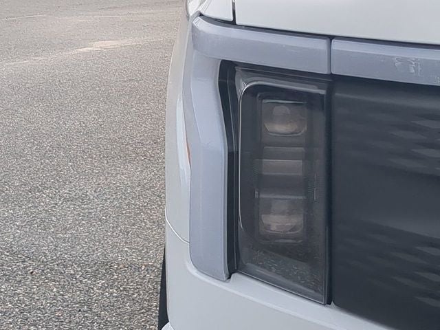 2025 Ford F-150 Lightning Flash™